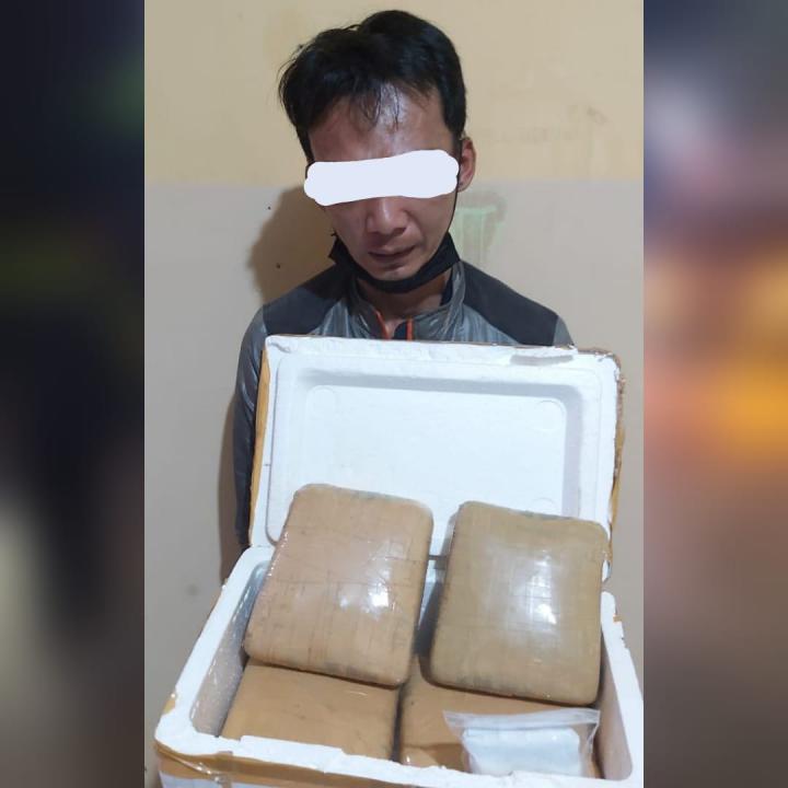 Bawa Ganja 4 Kg, Seorang Pria Dibekuk Ditresnarkoba Polda Lampung